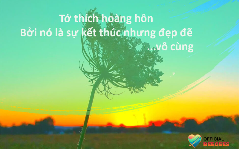 STT Hoàng Hôn Lãng Mạn Đầy Sâu Lắng