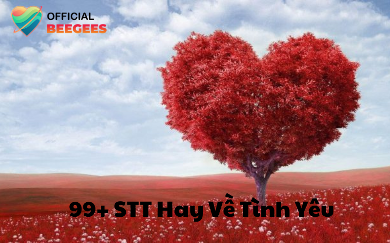 99+ STT Hay Về Tình Yêu
