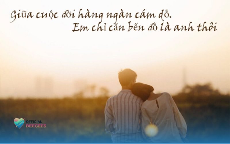 STT Hài Hước Về Tình Yêu