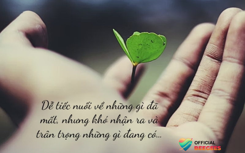 Những Câu Nói Hay Về Bình Yên