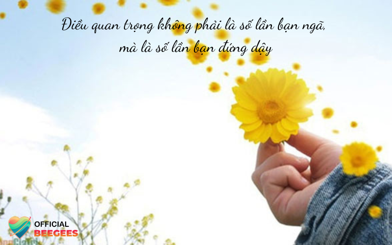 Những STT Bình Yên Hay Về Cuộc Sống