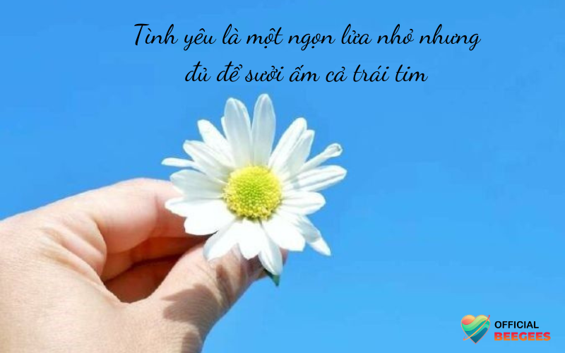 STT Bình Yên Trong Tình Yêu