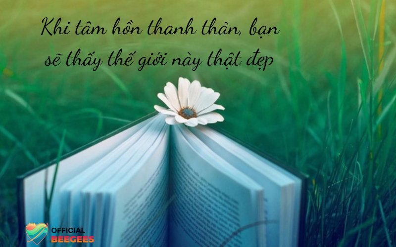 Những Câu Nói Hay Về Bình Yên