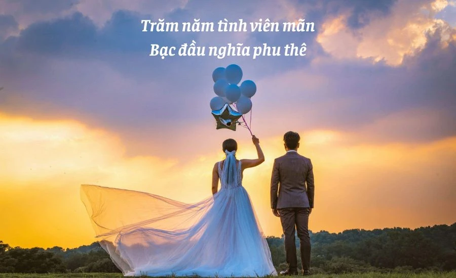 Stt Vợ Chồng Tình Cảm, Lãng Mạn